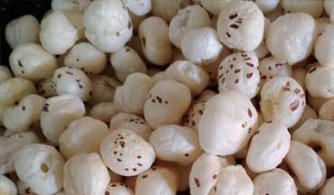 Foxnut (Makhana)